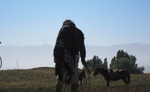 Citations Mapuches