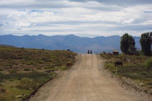 Terre au coeur des hommes