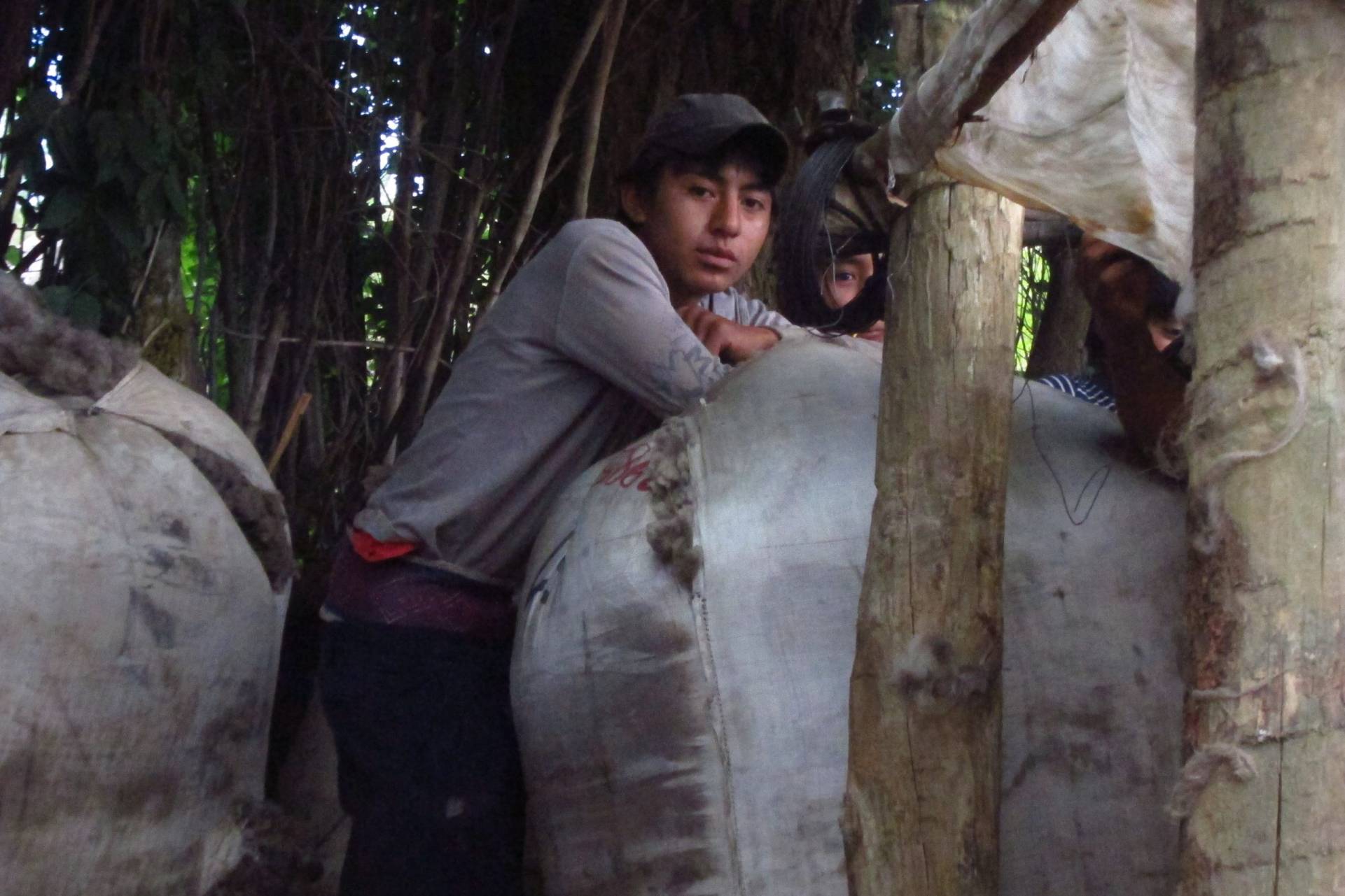 Communauté mapuche Ruca Choroy