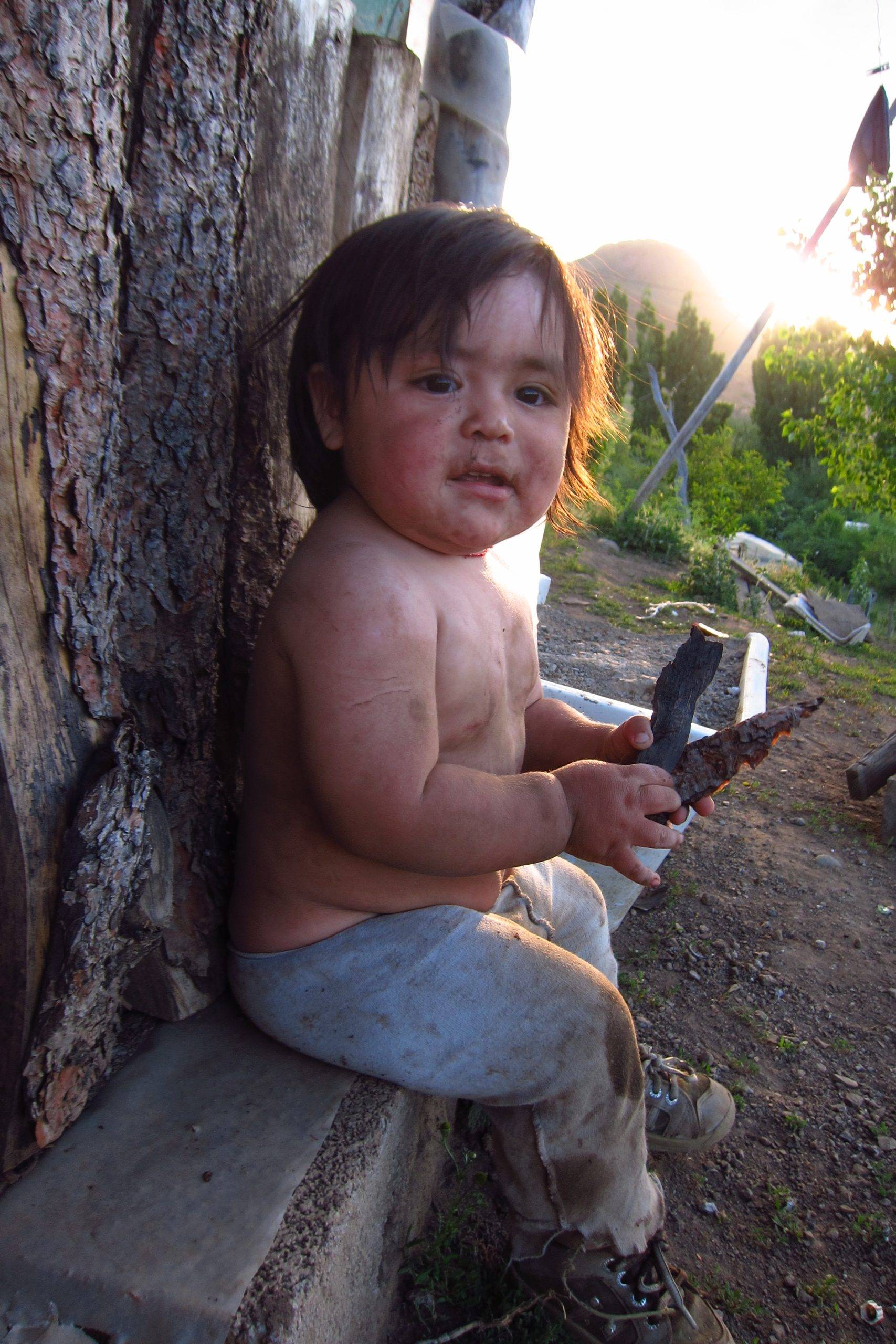 Communauté mapuche Ruca Choroy