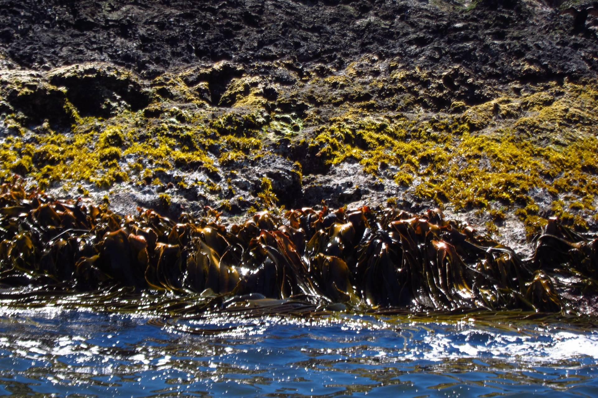 L'île de Chiloé, les Huilliches