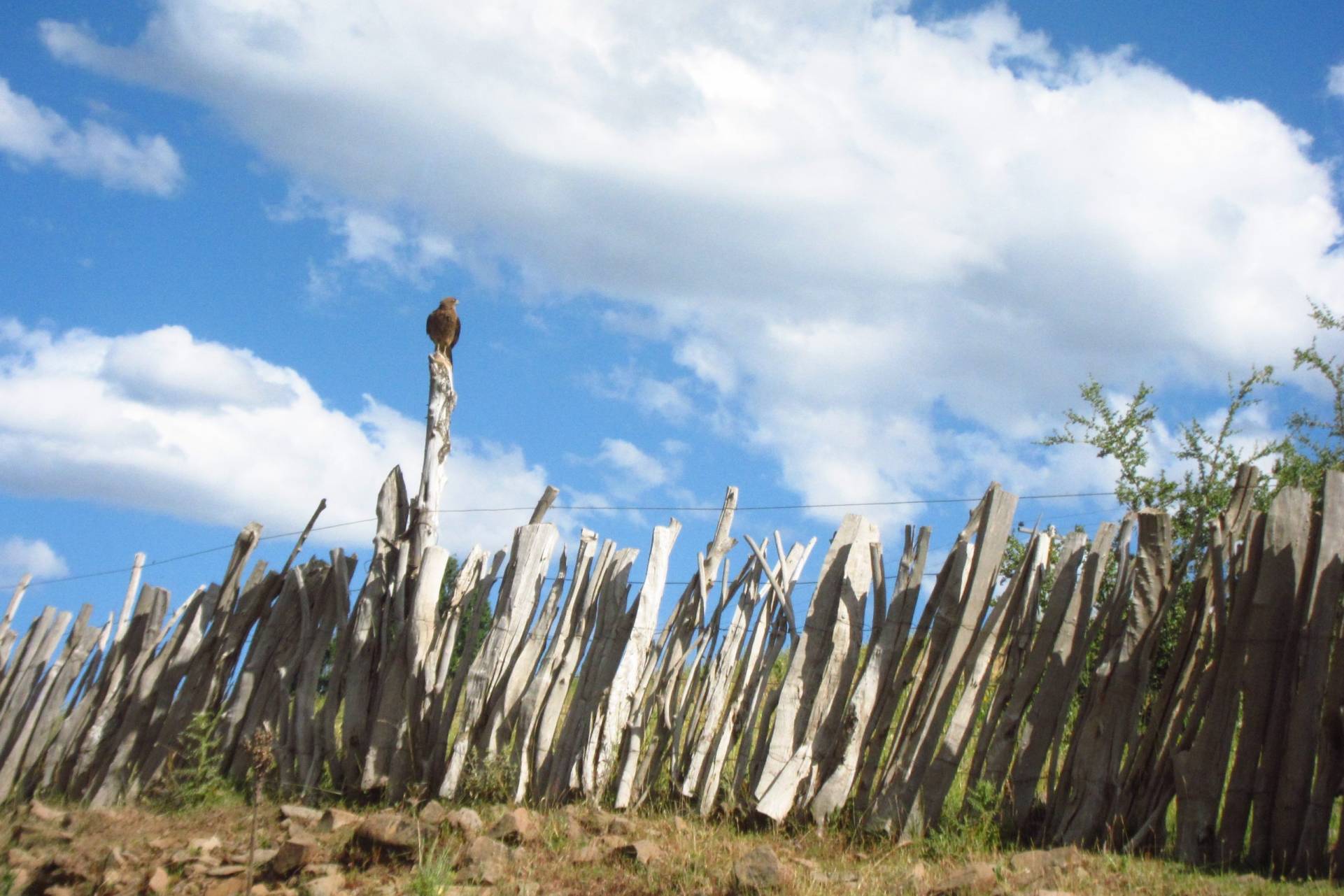 Communauté mapuche Ruca Choroy