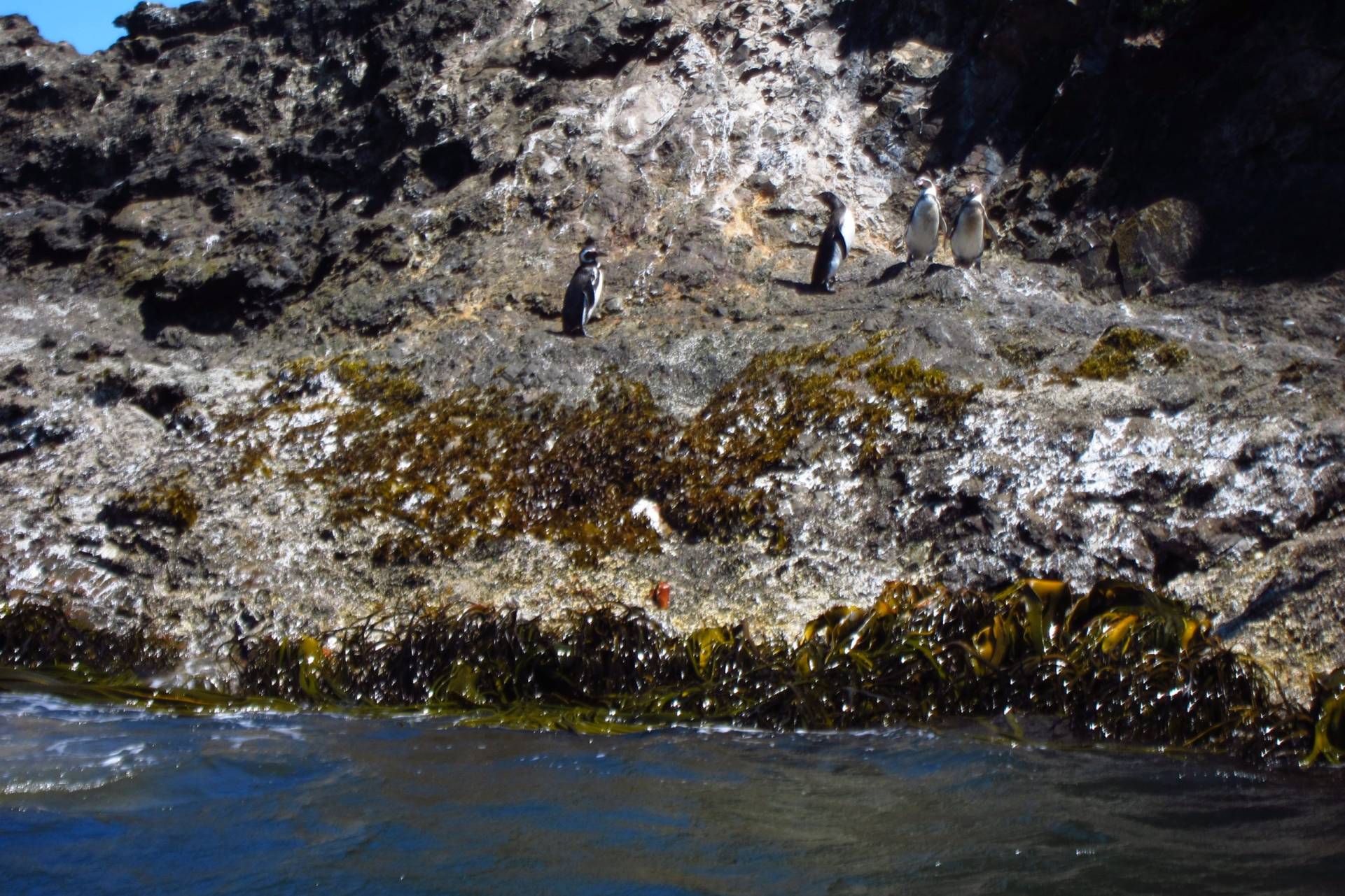 L'île de Chiloé, les Huilliches
