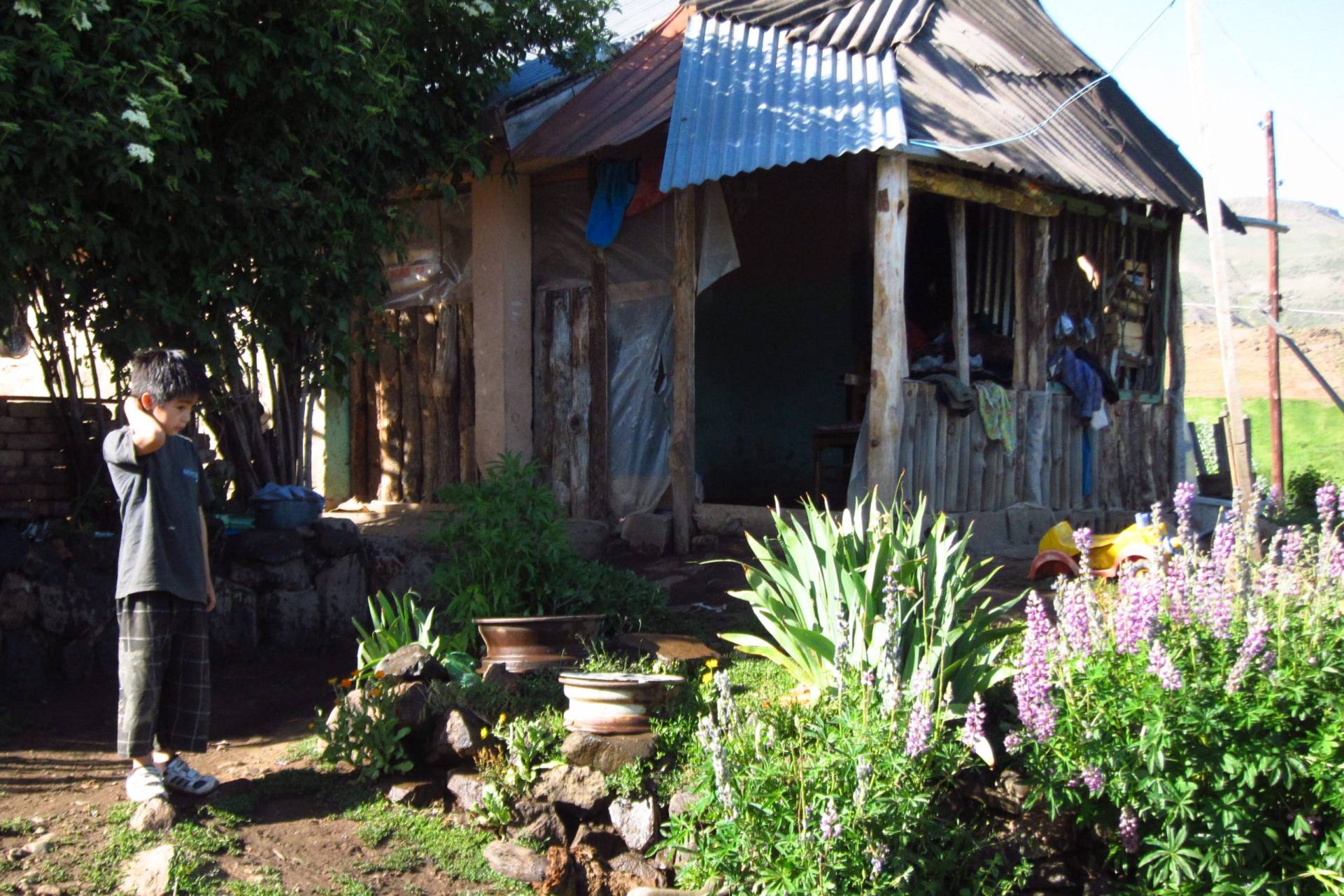 Communauté mapuche Ruca Choroy